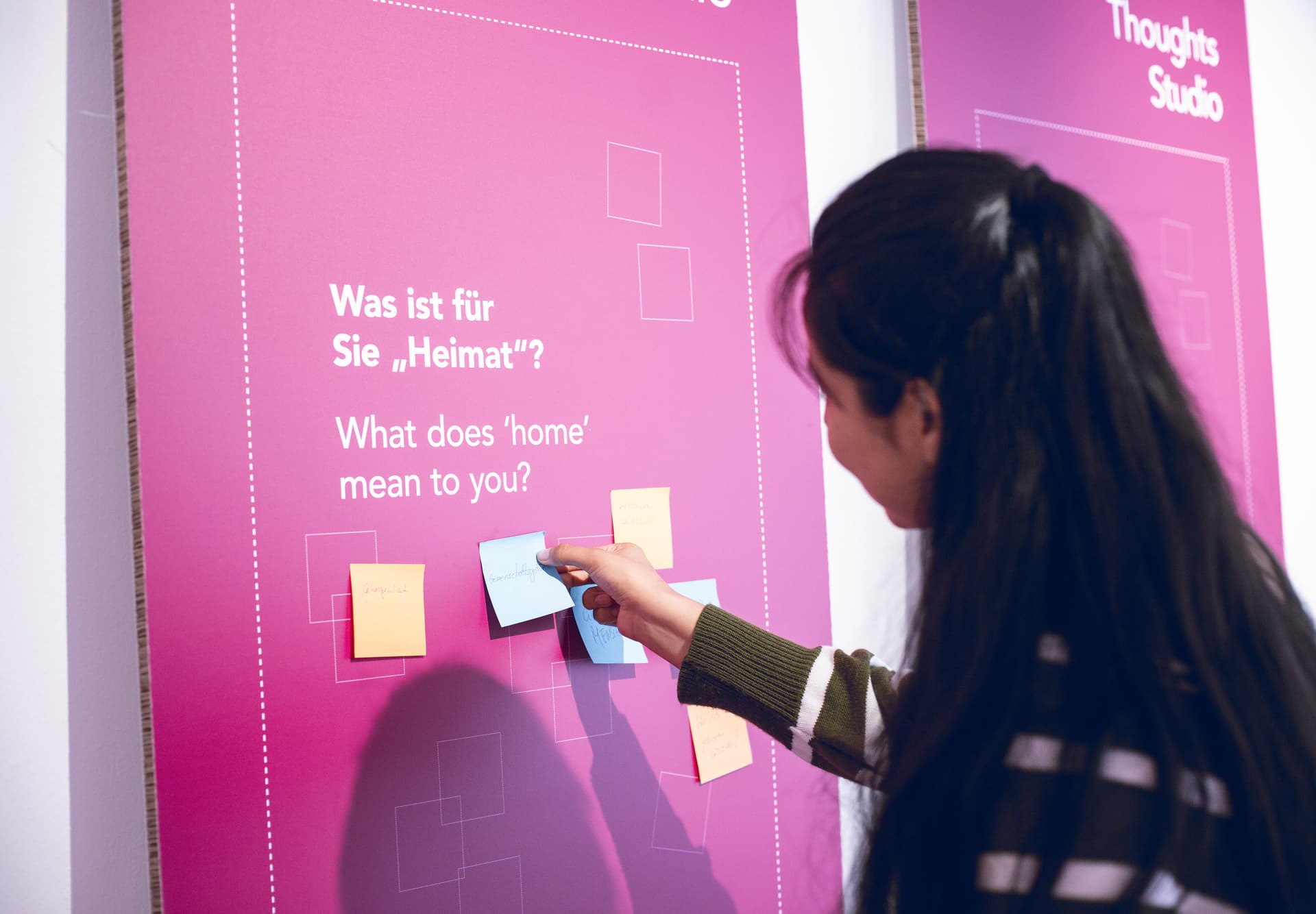 © Sinan Muslu © Sinan Muslu